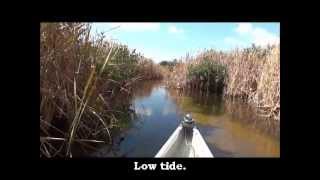 Dip Netting Blue Crabs in the Florida Everglades [upl. by Omlesna973]