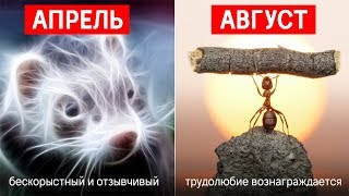 КАКОЙ ТЫ ЗВЕРЬ ПО ДАТЕ РОЖДЕНИЯ [upl. by Kimberly]