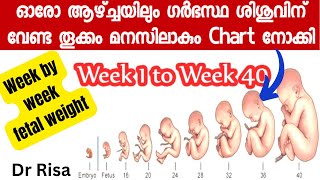 Baby Weight During Pregnancy Fetal Weight Week by Week [upl. by Gaspard]