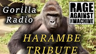 HARAMBE TRIBUTE  Gorilla Radio  Rage Against The Machine [upl. by Critta]