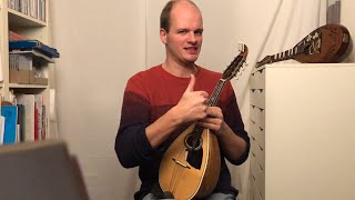 Mandolin Tutorial 3 Arpeggios How to practise by Sebastiaan de Grebber  The Swan  SaintSaëns [upl. by Hausner]