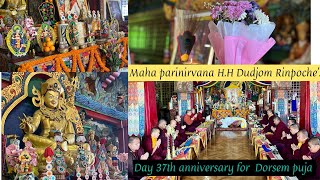 HH Dudjom Rinpoche’s maha parinirvana day 37th anniversary for Dorsem puja part 1 🙏🏻❤️ [upl. by Elrak292]