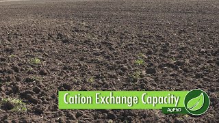 Cation Exchange Capacity 1032 Air Date 11418 [upl. by Tonkin]