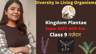 L5 Kingdom Plantae  Diversity in Living Organisms  Class 9  Hindi  NCERT [upl. by Yeblehs]