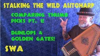 Autoharp Thumbpick comparison Dunlops and Golden Gate quotSWAquot Stalking the Wild Autoharp [upl. by Rezal]