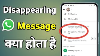 Whatsapp Disappearing Messages  Disappear Message Kya Hai  Despairing Message In Whatsapp [upl. by Nosduj515]