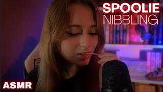 ASMR Spoolie Nibbling  Mouth Sounds👄 [upl. by Dinsmore151]