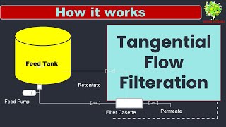 Tangential Flow filtration Process I Cross Flow Filteration I TFF how it works [upl. by Melvina]