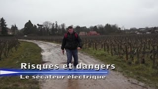 Risques et Dangers  Utilisation du matériel Viticole  Le sécateur élèctrique [upl. by Birkner]