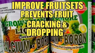 LIQUID CALCIUM BORON IMPROVE FRUITSETS amp PREVENT FRUIT CRACKING amp DROPPING [upl. by Nilesoj]