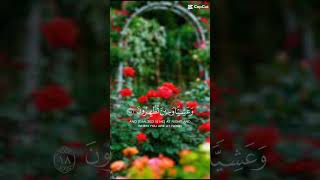 subhan Allah subscribe my channel [upl. by Xymenes]