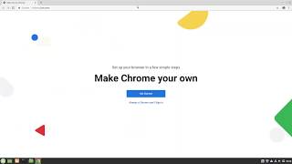 How to install Google Chrome on Linux Mint 193 [upl. by Orvil825]