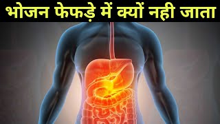 भोजन निगलने के बाद फेफड़े में क्यों नही जाता  digestive syatem 1  epiglottis working in hindi [upl. by Emmanuel481]