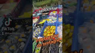 Braderie Parthenay de Bretagne [upl. by Cherie]