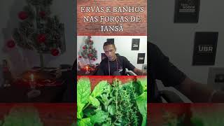 🌿Ervas e Banhos nas forças de 🌪IANSÃ [upl. by Ongineb]