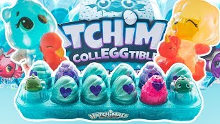 Color Changing Hatchimals Hatchimals Colleggtibles Mermal Magic Series 5 Egg Carton Limited Edition [upl. by Raybourne]