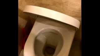 Update read description New Duravit soft close toilet seat cover makes squeaky noise [upl. by Euqinoj419]