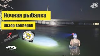 Обзор воблеров  Ночная рыбалка на Дону  Ловля судака или голавля [upl. by Okoyk419]