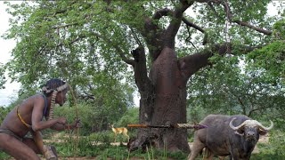 inside Hadzabe Tribe  Why Hadzabe Tribe Hunt With Poison Arrow Life Of The Hadzabe Tribe Hunters🐎 [upl. by Talanian]