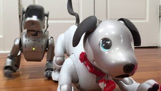 Aibo Robot Pet Dog  All Of Its Engineering SECRETS [upl. by Sikram]