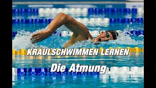 Kraulschwimmen lernen  die Atmung 2er oder 3er  SWIMAZING UNIVERSITY [upl. by Norit]