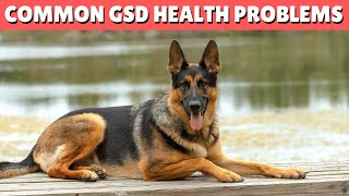 10 Common German Shepherd Health Problems [upl. by Etterraj]