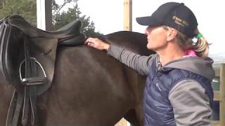 How to fit a Saddle with Kirstin Kelly [upl. by Gnehp]