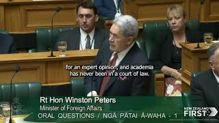 James Shaw to the Minister of Foreign Affairs Winston Peters [upl. by Radie]