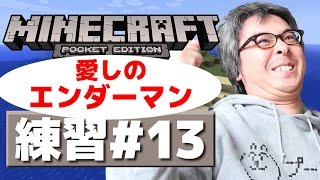 【瀬戸のマインクラフトPE】練習編その１３  愛しのエンダーマン [upl. by Ahsitan704]