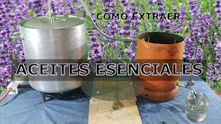 Cómo extraer ACEITES ESENCIALES 👍👍 [upl. by Ahk]