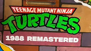 TMNT remastered Raphael and Donatello review actionfigures tmnt [upl. by Jocelin152]