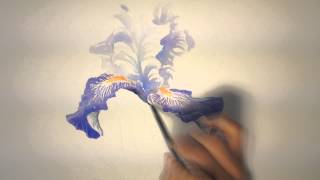 Un iris à laquarelle watercolor tutorial [upl. by Idette]