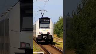 Zugdurchfahrt RE 10 Rostock  Pasewalk ODEG Desiro ML BR 4746 305 Alpha Trains ÖBB [upl. by Radack703]