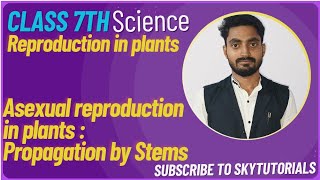 Reproduction in Plants Asexual reproduction in plants Propagation by stems runner stolon offset [upl. by Retxab]