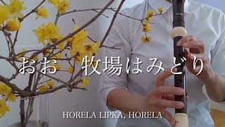 【おお牧場はみどり】アルトリコーダーHorela lipka horelaaltová zobcová flétna [upl. by Helen]