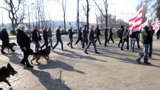 Cracovia fans  Derby Kraków 2322014 [upl. by Wong956]