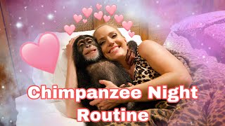 Baby Chimp Night Routine [upl. by Kus]