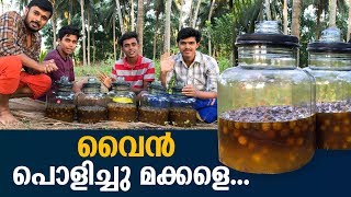 Gooseberry Wine Making  How to Make Gooseberry Wine Malayalam  Cousins Cooking [upl. by Nashner593]