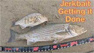 STRIPER FISHING MONTEREY BAY SALTWATER JERKBAITS GETTING IT DONE [upl. by Nostaw]