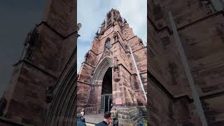 Münster Münsterplatz Kopfsteinpflaster Wochenmarkt Freiburg 😊👍🇩🇪shorts [upl. by Loginov337]