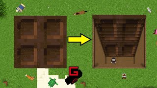 I made a Minecraft Trap Door Trap Door [upl. by Pazia]