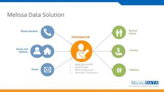 Demographics Understanding Your Target Market [upl. by Weidar]