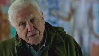 What is biodiversity  David Attenborough A Life On Our Planet [upl. by Rusticus]