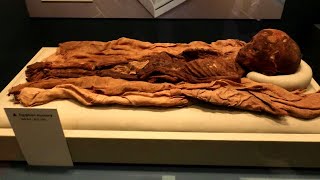 What are some of the most famous mummies ever discovered [upl. by Keg735]