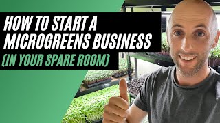 How To Start A Microgreens Business In Your Spare Room [upl. by Abroms315]