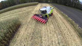 mais dorsen malen en inkuilen  Maisernte corn harvest [upl. by Aveneg]