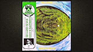 MIKE OLDFIELD  HERGEST RIDGE  1974 Full Album [upl. by Miharbi]