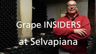 Grape INSIDERS at Fattoria Selvapiana in Rufina Tuscany Wine Tours [upl. by Naivart]