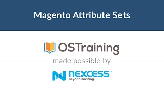 Magento 2 Beginner Class Lesson 13 Magento Attribute Sets [upl. by Rosenbaum269]