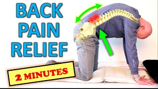 7 Great Low Back Pain Relief Exercises in 2 MINUTES [upl. by Maddock]